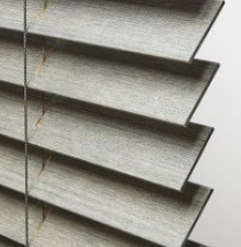Wire Brush